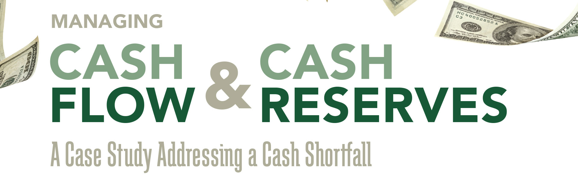 Cash Flow & Cash Reserves
